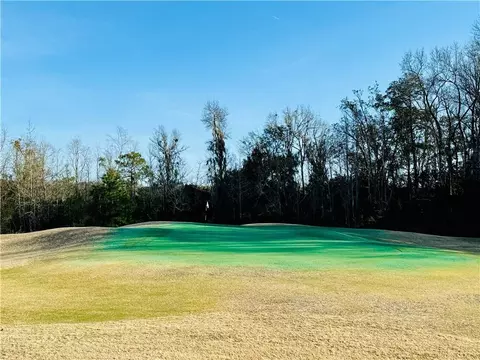 lot126 Divot Dr NE, Townsend, GA 31331