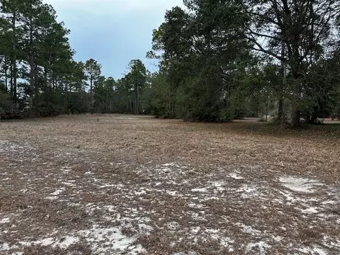 lot154 Mulligan Dr NE, Townsend, GA 31331