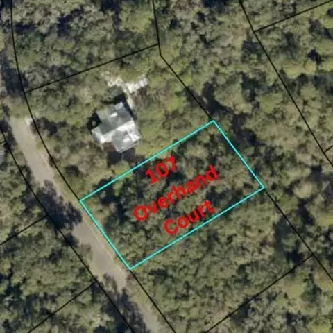 107 Overhand Ct, Saint Marys, GA 31558