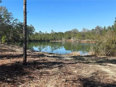 11632 110 W Hwy, Hortense, GA 31543