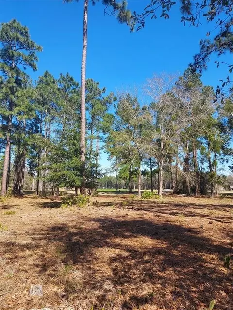 lot19 Ph 6 Blue Heron Trl, Waverly, GA 31565