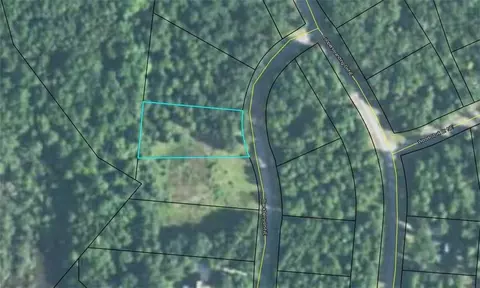 lot403 Blackberry Ln NE, Townsend, GA 31331