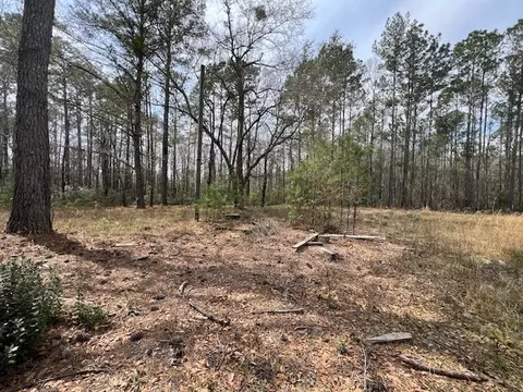 2199 Ardoch Rd SW, Townsend, GA 31331 photo 5