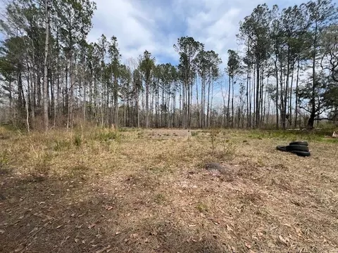 2199 Ardoch Rd SW, Townsend, GA 31331 photo 3