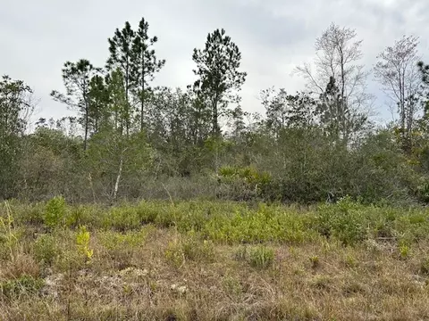 Lot 100 Fort Tyler Trail, Waynesville, GA 31566