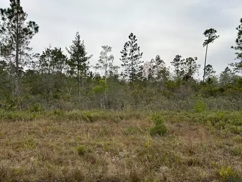 Lot 101 Fort Tyler Trail, Waynesville, GA 31566