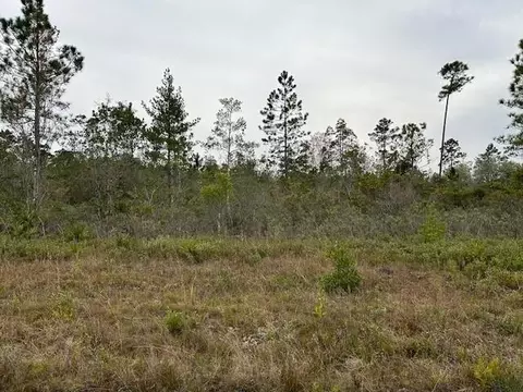 lot101 Fort Tyler Trl #101, Waynesville, GA 31566