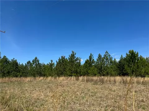 00 Jack Anderson Rd, Reidsville, GA 30453
