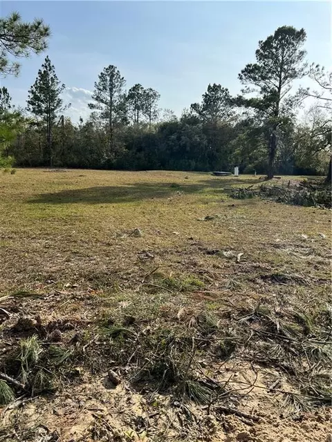 346 Long Lake Rd, Nahunta, GA 31553