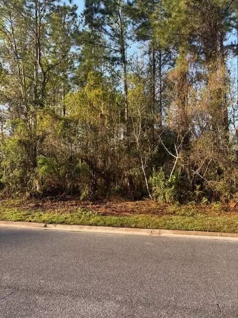 61 Laurel Marsh Way, Kingsland, GA 31548