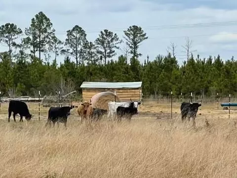 88 Rogers Break Rd, Jesup, GA 31546