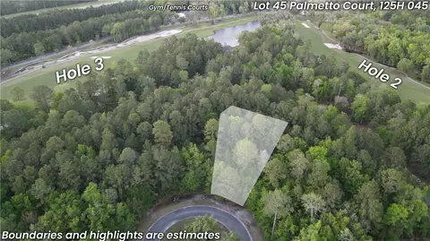 Lot 45 Palmetto Court, Waverly, GA 31565