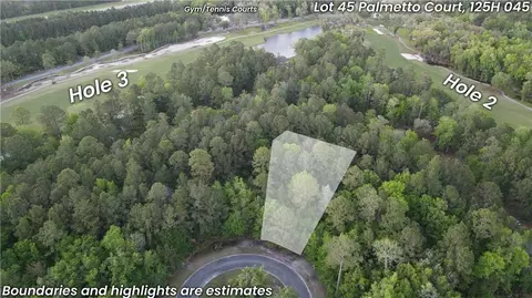 lot45 Palmetto Ct, Waverly, GA 31565