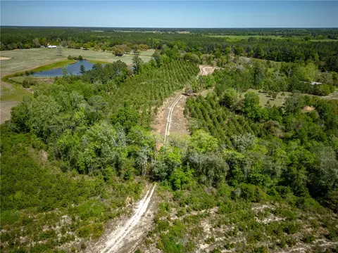 0 Starling Rd, Other, GA 31510