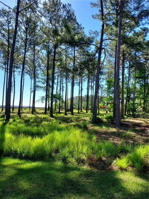 46 Palm Bay Court, Waverly, GA 31565