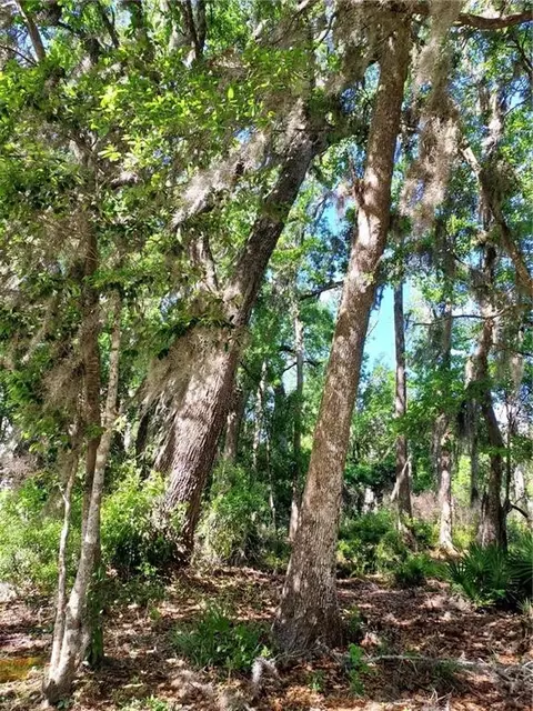 lot21 A Preserve Trl, Waverly, GA 31565