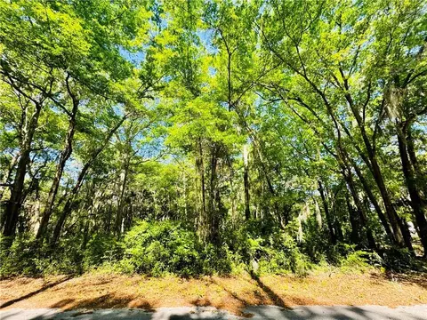 lot66 Otter Slide Loop NE, Townsend, GA 31331
