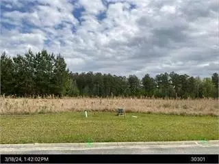 V/L 643 Breakwater Loop #643, Kingsland, GA 31548