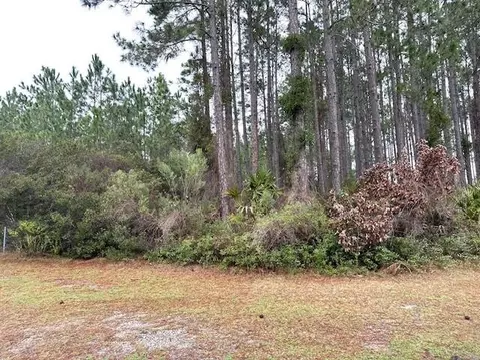 0 Wild Horse Ct, Saint Marys, GA 31558