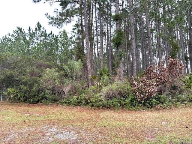 0 Wild Horse Ct, Saint Marys, GA 31558