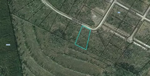 lot24 Picketts Mill Trl, Waynesville, GA 31566