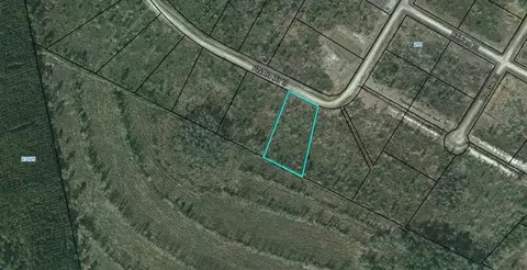 lot24 Picketts Mill Trl #24, Waynesville, GA 31566