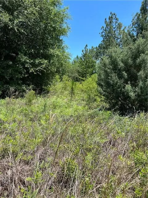 00 Hwy 32 Hwy, Hortense, GA 31543