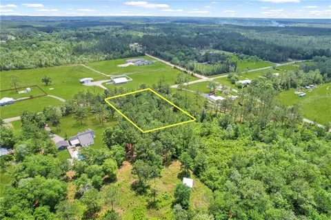 0 Yellow Bluff Rd, Blackshear, GA 31516