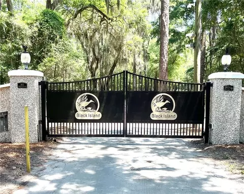 lot19 Black Island Rd SE, Darien, GA 31305
