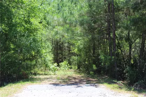 0 E S Hwy 99 Hwy, Darien, GA 31305