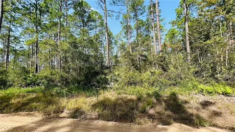 00 Mount Pleasant Rd, Jesup, GA 31546