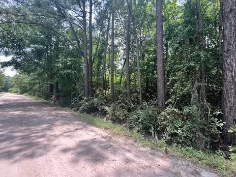 1371 Ford Blvd NE, Townsend, GA 31331 photo 5