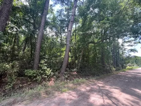 1371 Ford Blvd NE, Townsend, GA 31331 photo 3