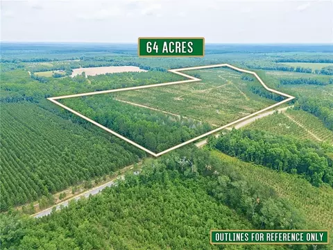 0 Tract 2 - Powell School Rd N, Lumber City, GA 31549