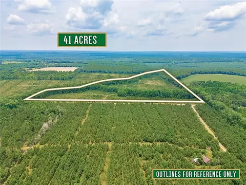 0 Tract 3 - Powell School Rd N, Lumber City, GA 31549