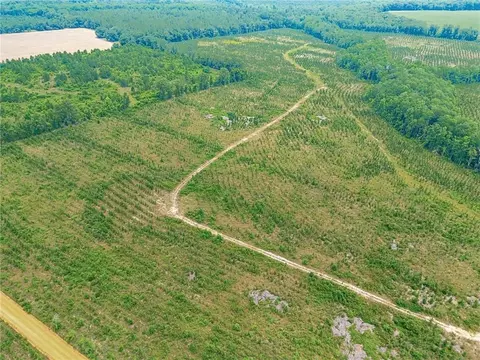 0 Tract 1 - Powell School Rd N, Lumber City, GA 31549