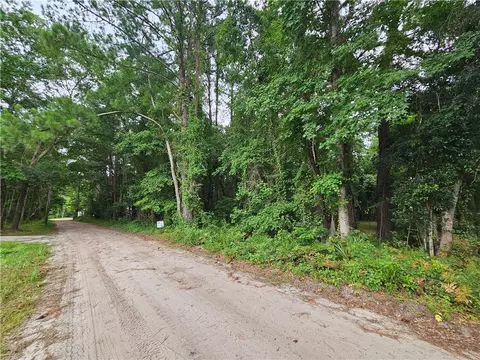 lot28 NE Big Pine St Ne St NE, Townsend, GA 31331