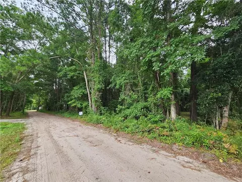 lot28 NE Big Pine St Ne St NE #0048B0024, Eulonia, GA 31331