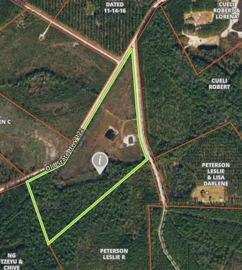 456 Winged Teal Rd, Other, GA 31552