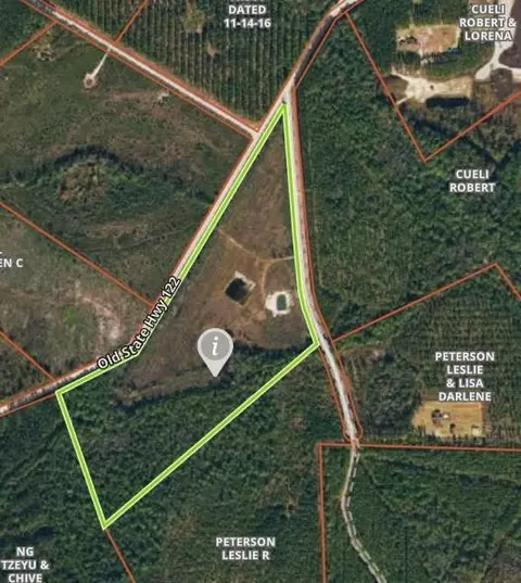 456 Winged Teal Rd, Millwood, GA 31552