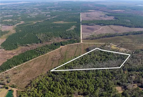V/l Chaney Road, White Oak, GA 31568