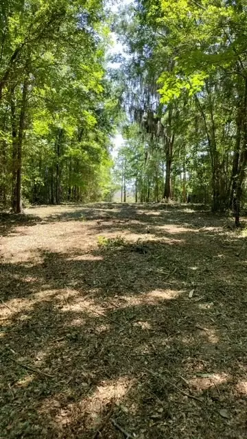 0 Briar Patch Pl NE, Townsend, GA 31331 photo 4