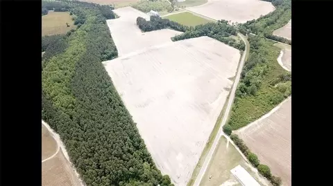 0 Walkerville Rd, Blackshear, GA 31516