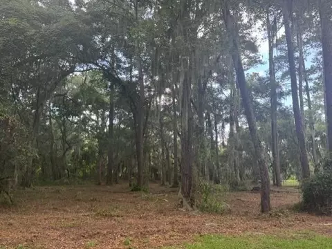 0 Old Cane Mill Rd #6, Darien, GA 31305