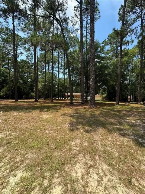 00 Little John Dr, Reidsville, GA 30453