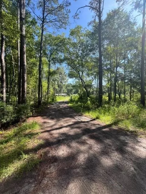 1227 Trotline Rd, Townsend, GA 31305