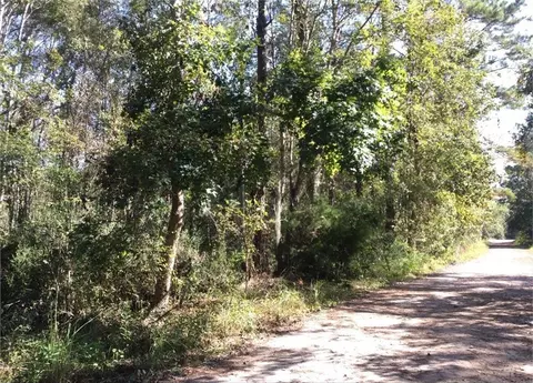 377 Latrell Ln, Waverly, GA 31565