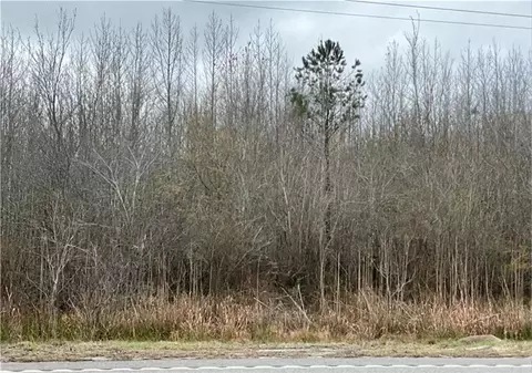 00 Ga Highway 57, Townsend, GA 31331