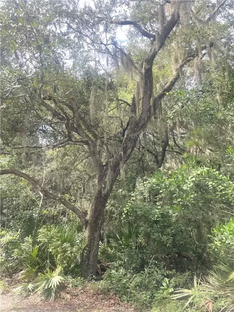 V/l 427 Overhand Ct, Saint Marys, GA 31558