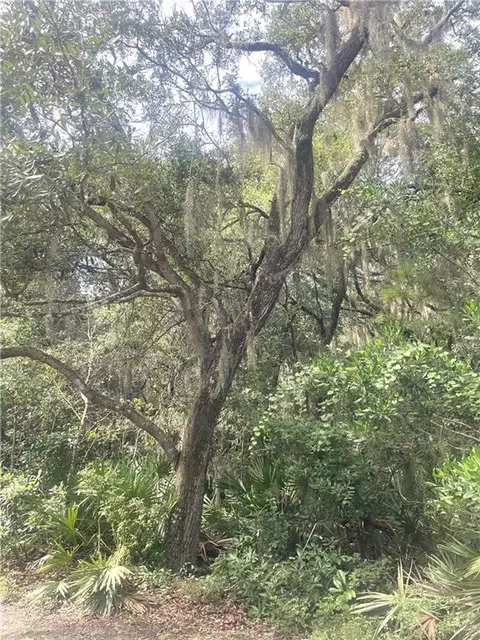 V/l 427 Overhand Ct, Saint Marys, GA 31558
